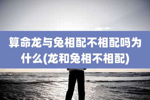 算命龙与兔相配不相配吗为什么(龙和兔相不相配)