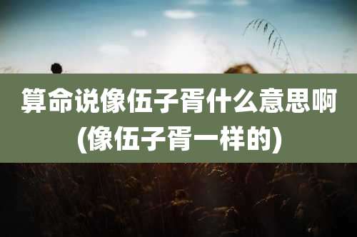 算命说像伍子胥什么意思啊(像伍子胥一样的)