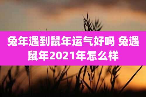 兔年遇到鼠年运气好吗 兔遇鼠年2021年怎么样