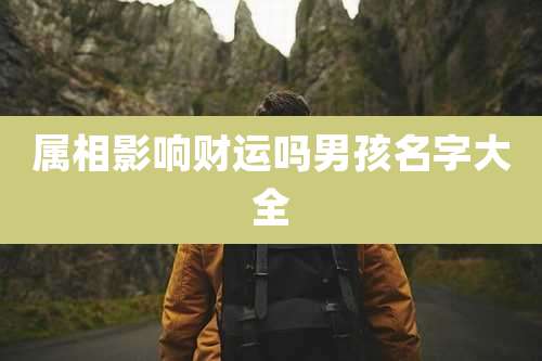 属相影响财运吗男孩名字大全