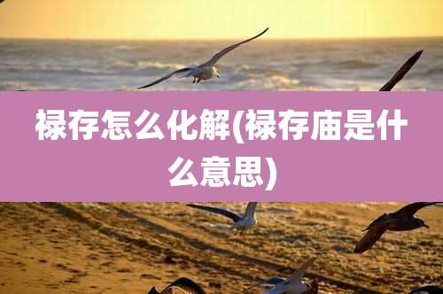 禄存怎么化解(禄存庙是什么意思)