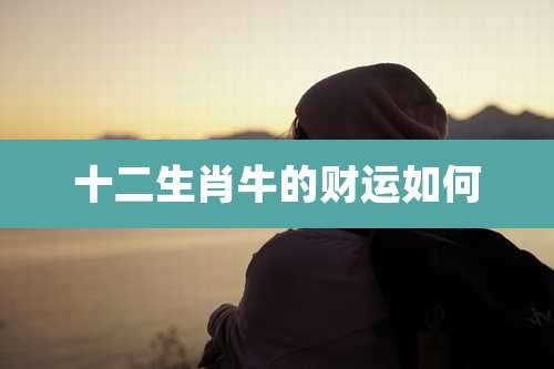 十二生肖牛的财运如何
