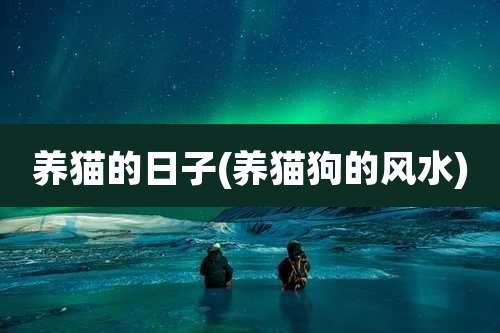 养猫的日子(养猫狗的风水)