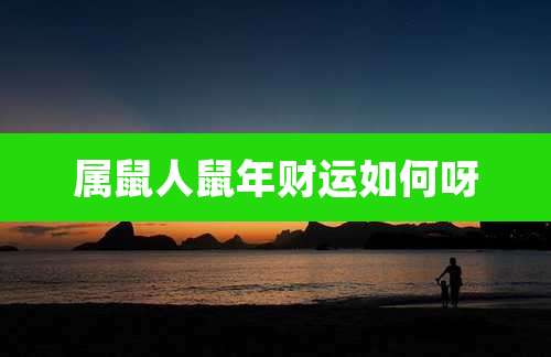 属鼠人鼠年财运如何呀