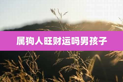 属狗人旺财运吗男孩子