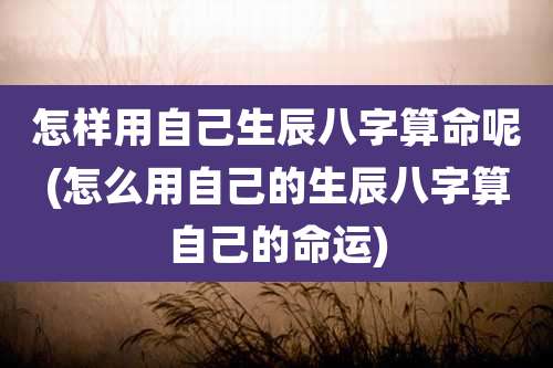 怎样用自己生辰八字算命呢(怎么用自己的生辰八字算自己的命运)