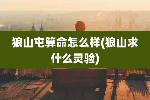 狼山屯算命怎么样(狼山求什么灵验)