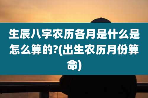 生辰八字农历各月是什么是怎么算的?(出生农历月份算命)
