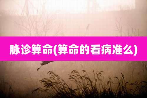 脉诊算命(算命的看病准么)