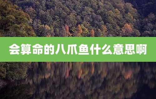 会算命的八爪鱼什么意思啊