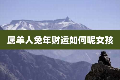 属羊人兔年财运如何呢女孩