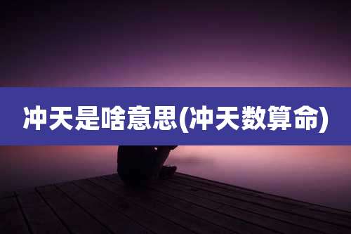 冲天是啥意思(冲天数算命)