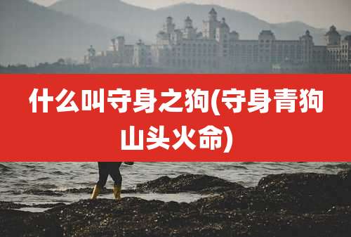 什么叫守身之狗(守身青狗山头火命)