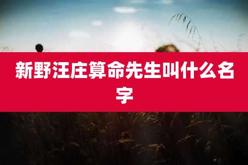 新野汪庄算命先生叫什么名字