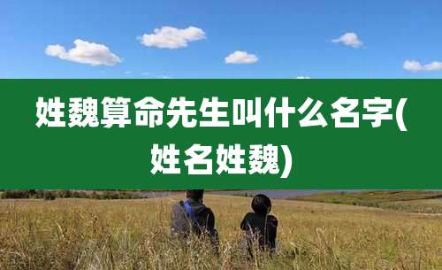 姓魏算命先生叫什么名字(姓名姓魏)