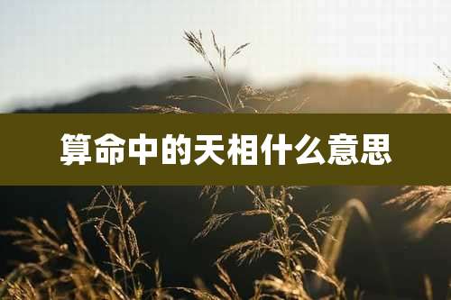 算命中的天相什么意思