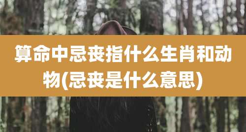 算命中忌丧指什么生肖和动物(忌丧是什么意思)