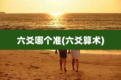 六爻哪个准(六爻算术)