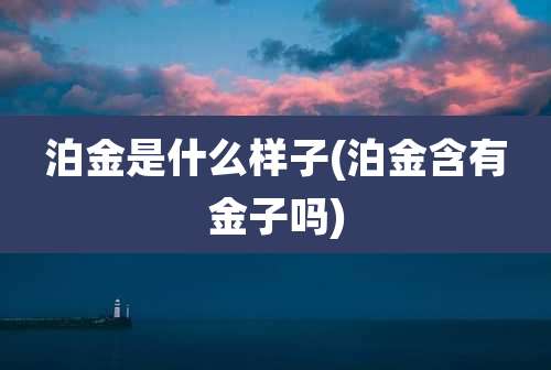 泊金是什么样子(泊金含有金子吗)