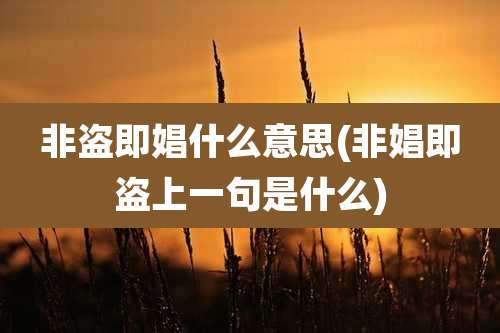 非盗即娼什么意思(非娼即盗上一句是什么)