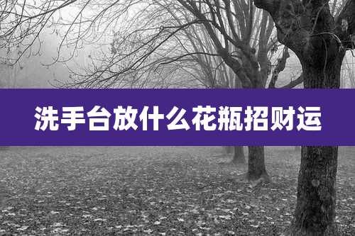 洗手台放什么花瓶招财运