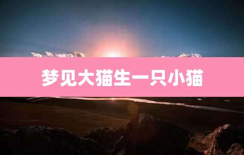 梦见大猫生一只小猫