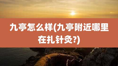 九亭怎么样(九亭附近哪里在扎针灸?)