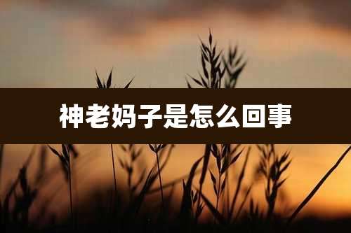 神老妈子是怎么回事
