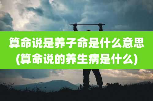 算命说是养子命是什么意思(算命说的养生病是什么)