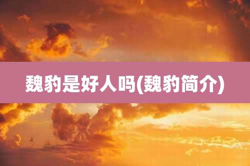 魏豹是好人吗(魏豹简介)