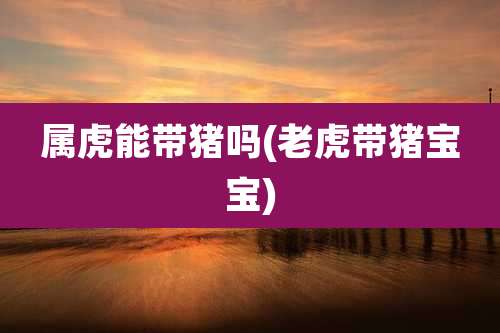 属虎能带猪吗(老虎带猪宝宝)