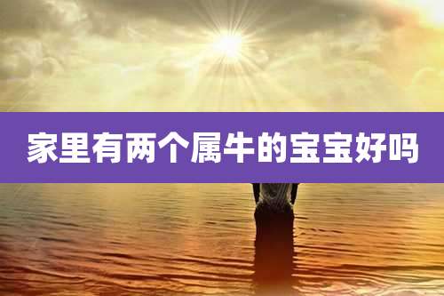 家里有两个属牛的宝宝好吗