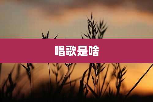 唱歌是啥