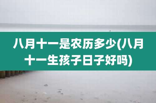 八月十一是农历多少(八月十一生孩子日子好吗)