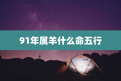 91年属羊什么命五行