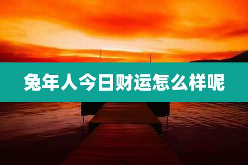 兔年人今日财运怎么样呢