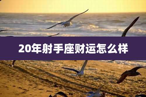 20年射手座财运怎么样