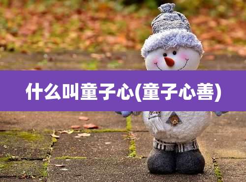 什么叫童子心(童子心善)