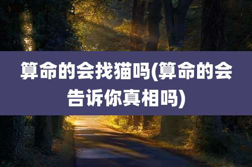 算命的会找猫吗(算命的会告诉你真相吗)