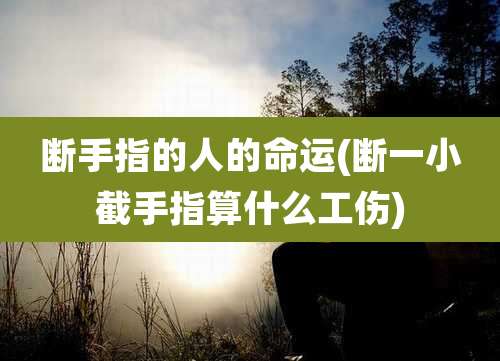 断手指的人的命运(断一小截手指算什么工伤)