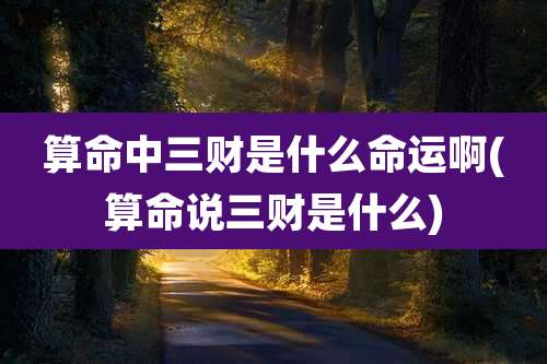 算命中三财是什么命运啊(算命说三财是什么)