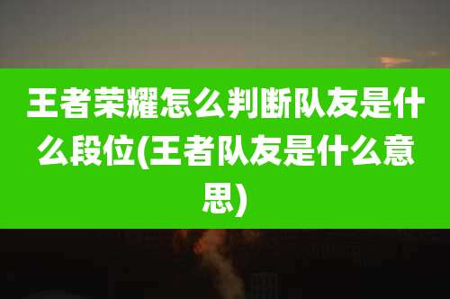 王者荣耀怎么判断队友是什么段位(王者队友是什么意思)