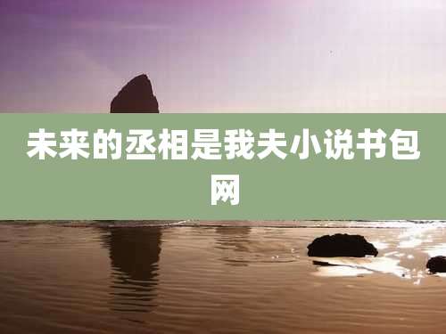 未来的丞相是我夫小说书包网