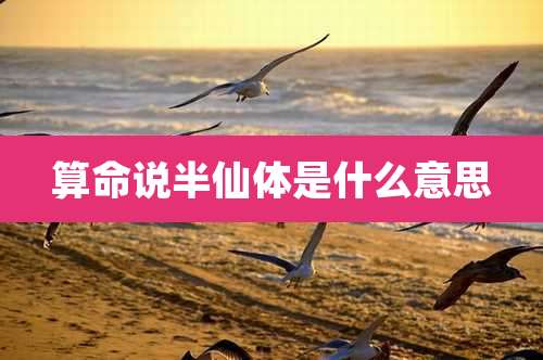 算命说半仙体是什么意思