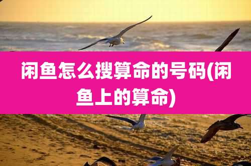 闲鱼怎么搜算命的号码(闲鱼上的算命)