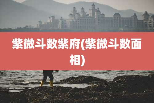 紫微斗数紫府(紫微斗数面相)