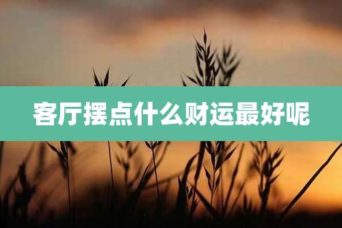 客厅摆点什么财运最好呢