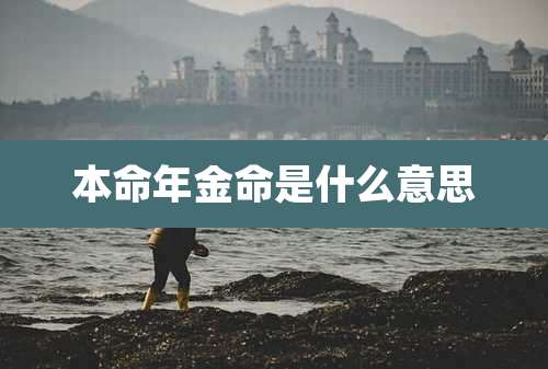 本命年金命是什么意思