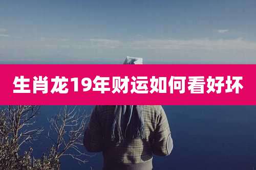 生肖龙19年财运如何看好坏