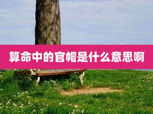 算命中的官帽是什么意思啊